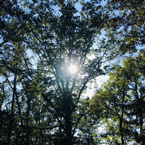 Meet your Posher, Michele - Picture 2 of 2